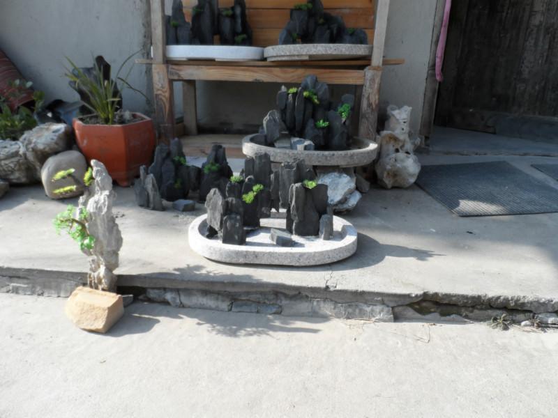 常州夏溪哪里的假山盆景最便宜圖片