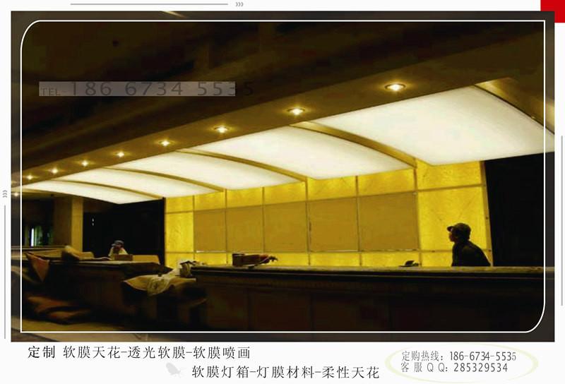 阻燃天花軟膜圖片/阻燃天花軟膜樣板圖 (4)