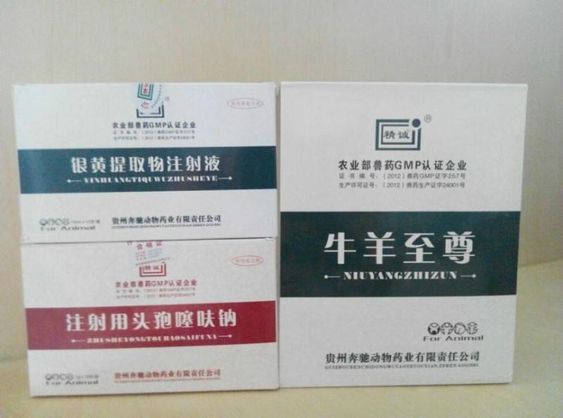 小反芻獸疫的癥狀及治療方法圖片