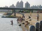 供應(yīng)東莞到伊犁物流公司東莞到伊犁貨