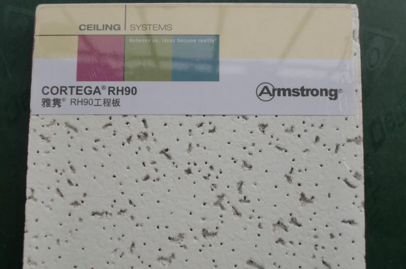 供應(yīng)阿姆斯壯毛毛蟲礦棉板雅雋吸音板