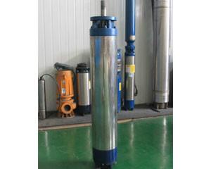 大容量三相異步潛水電機(jī)圖片