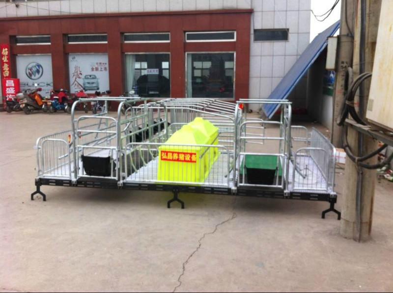 母豬產(chǎn)床圖片