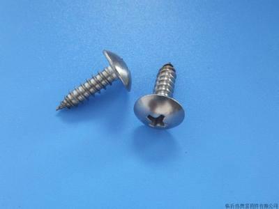 供應(yīng)佛山不銹鋼304十字槽大扁頭自攻釘 順德不銹鋼廠家生產(chǎn)自攻釘非標(biāo)訂做