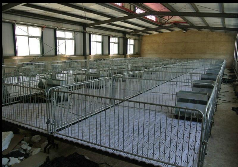 供應(yīng)河北批發(fā)母豬定位欄，買養(yǎng)豬設(shè)備選擇弘昌，質(zhì)量有保障，價格合理