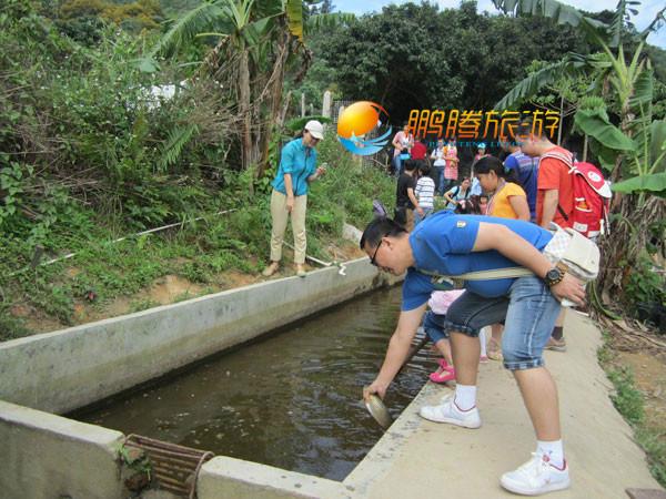 供應(yīng)南澳農(nóng)家樂野炊自駕游農(nóng)家樂親子游