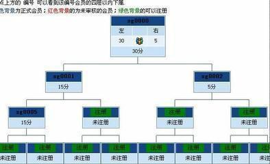 雙軌制直銷系統(tǒng)直銷軟件