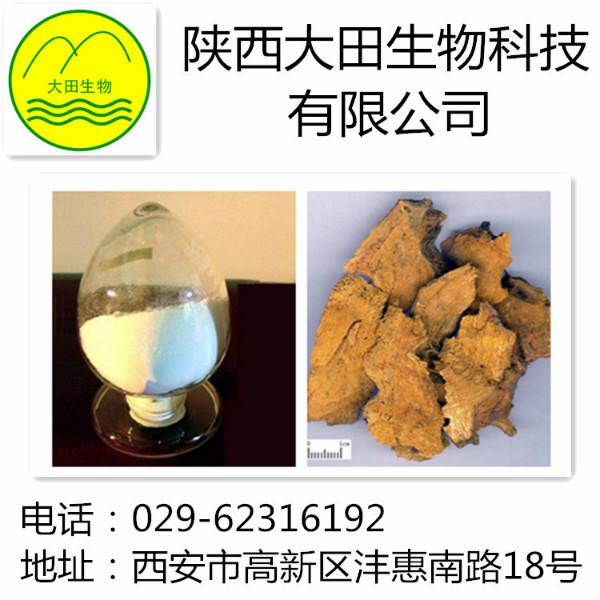 供应虎杖  白藜芦醇提取物 供应优质虎杖提取物白藜芦醇 供应优质虎杖提取物白藜芦醇98%图片