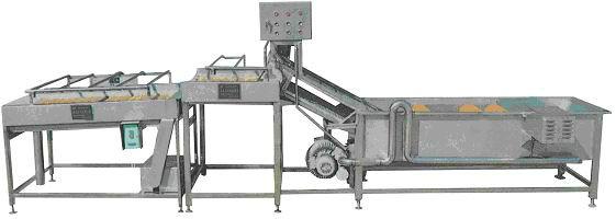 供應(yīng)蔬菜清洗除雜生產(chǎn)線