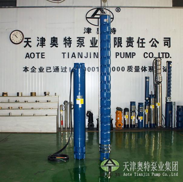 廈門*潛水泵公司——津奧深水潛水泵-整機(jī)304材質(zhì)潛水泵