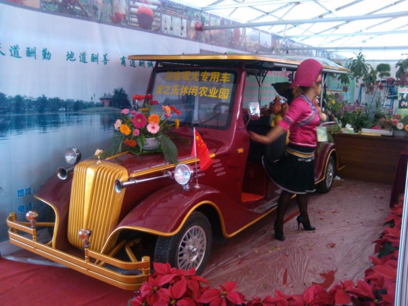 供應(yīng)購(gòu)旅游電動(dòng)老爺車還是選*品牌