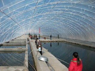 方管鍍鋅圖片/方管鍍鋅樣板圖 (2)