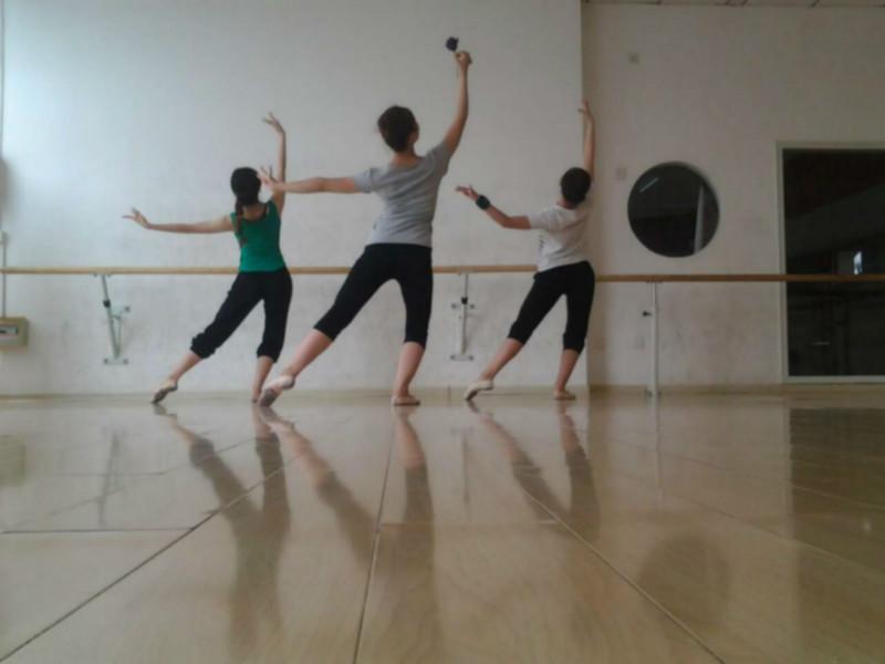 供應(yīng)身體符號變奏曲線條與技巧的