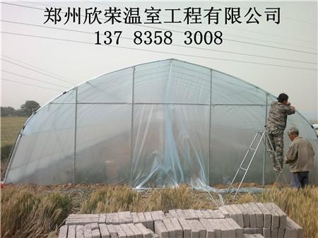 专业建造温室大棚简易拱棚建造技术供应专业建造温室大棚简易拱棚建造技术