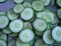 供應(yīng)圓片切菜機(jī)