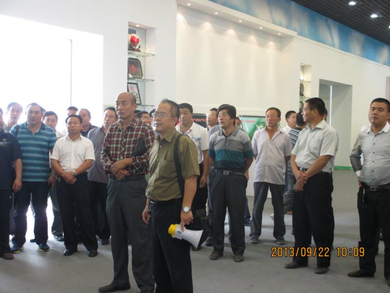 供應(yīng)山東油用牡丹苗，油用牡丹苗批發(fā)，油用牡丹苗價(jià)格