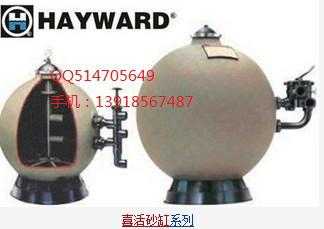供應(yīng)HAYWARD喜活紙蕊過濾器