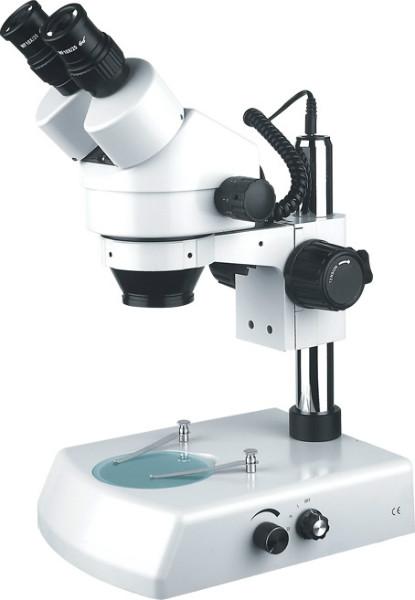 体视显微镜ST6024-B2图片