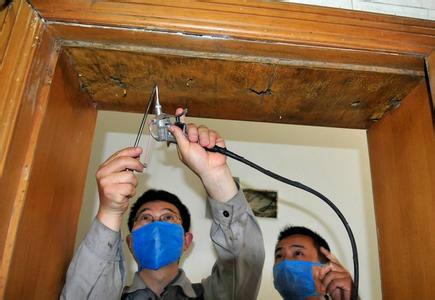 供應【白蟻防治公司】成都白蟻防治公司、成都白蟻防治中心