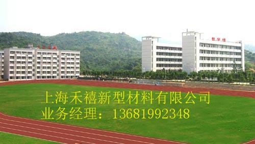 透氣型塑膠跑道圖片/透氣型塑膠跑道樣板圖 (4)