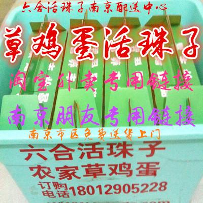 供應活珠子*活珠子養(yǎng)顏美容活珠子