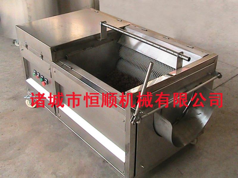 毛刷式文核桃清洗機(jī)圖片