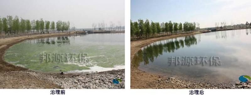 公園景觀水體富營養(yǎng)化治理水綿治圖片