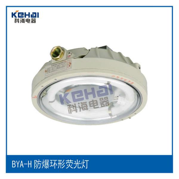 供應(yīng)防爆吸頂燈，BXL-100防爆吸頂燈