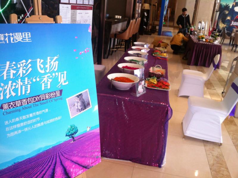 供應小盤栽等DIY活動現(xiàn)場