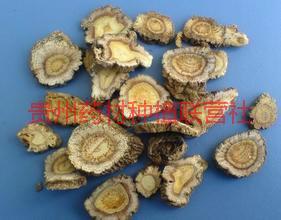 供應前胡種植基地-前胡供應商--前胡價格