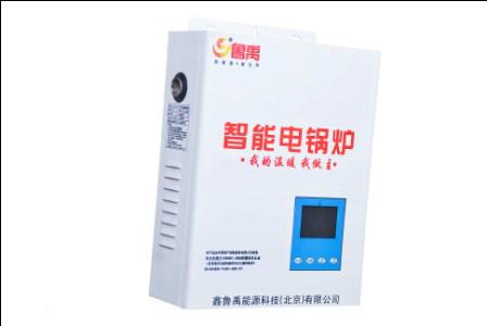 供應(yīng)智能電壁掛采暖爐