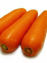 供應(yīng)胡蘿卜種子黑田五寸