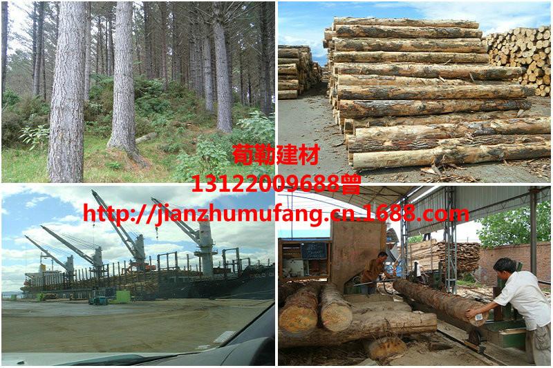 供應(yīng)用于工地支模用的輻射松