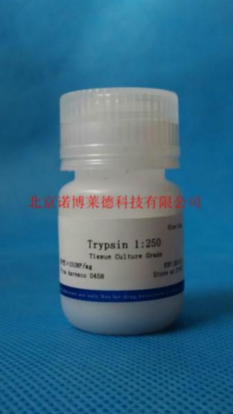 供應(yīng)胰蛋白酶12509002-07-7*現(xiàn)貨