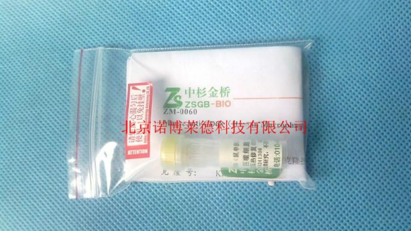 供應(yīng)ZM-0060中杉金橋CD68巨噬細(xì)胞