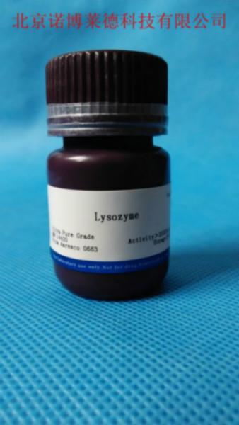 供應(yīng)溶菌酶12650-88-3生化試劑現(xiàn)貨