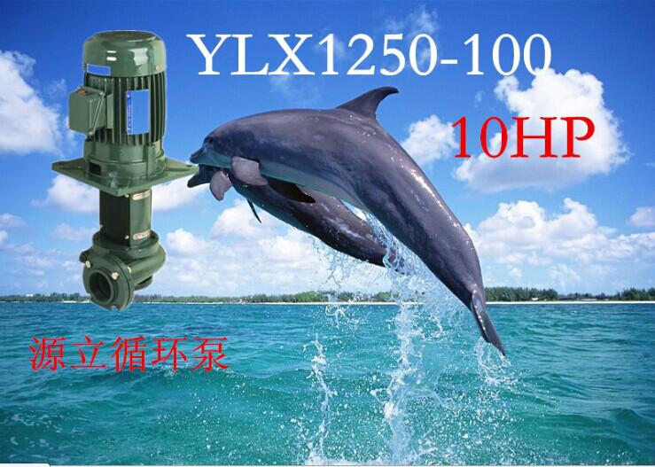 供應(yīng)廣東水泵生產(chǎn)廠家直銷腋下泵循環(huán)泵YLX1250-100