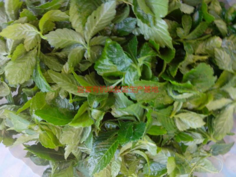 供應(yīng)批發(fā)福建絞股藍(lán)，批發(fā)福建絞股藍(lán)茶，批發(fā)福建絞股藍(lán)茶葉