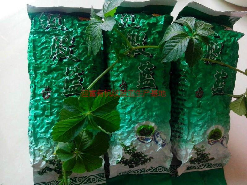 供應(yīng)批發(fā)福建絞股藍(lán)，批發(fā)福建絞股藍(lán)茶，批發(fā)福建絞股藍(lán)茶葉