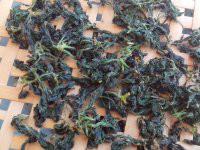 供應(yīng)湘西*絞股藍(lán)，湘西*絞股藍(lán)茶，湘西*絞股藍(lán)茶葉