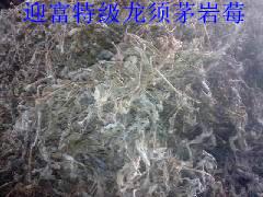 供應(yīng)小游茅巖莓供應(yīng)，小游茅巖莓供應(yīng)商，小游茅巖莓供應(yīng)廠家