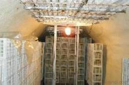 供應九江速凍冷庫設計電話，九江速凍冷庫供應廠家,九江速凍冷庫生產(chǎn)商