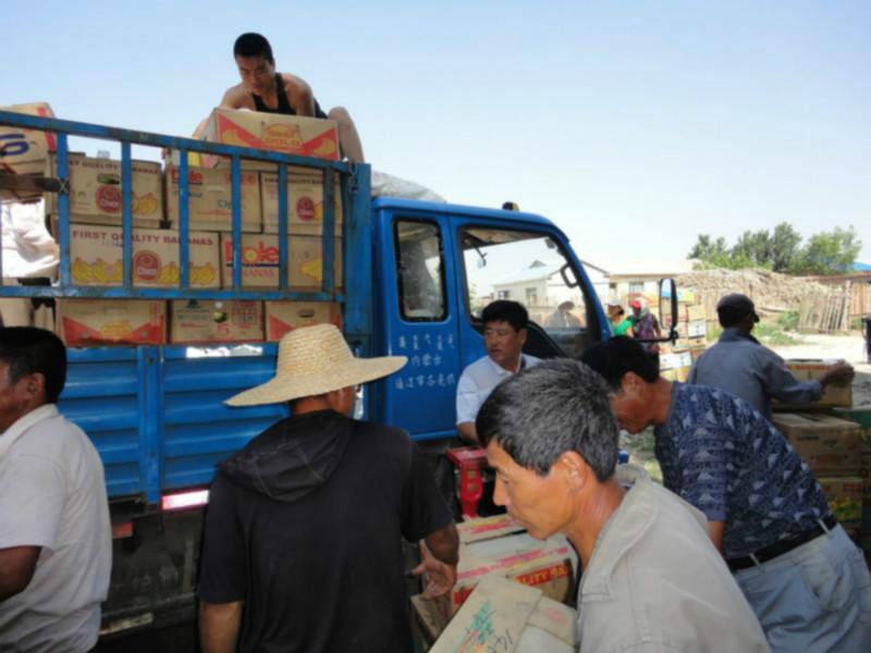 遼寧凌海西瓜京密甜香瓜大量上市圖片/遼寧凌海西瓜京密甜香瓜大量上市樣板圖 (4)