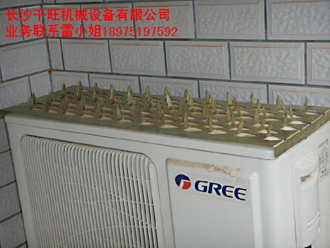 防盜刺防爬刺長沙防盜刺湖南防盜刺