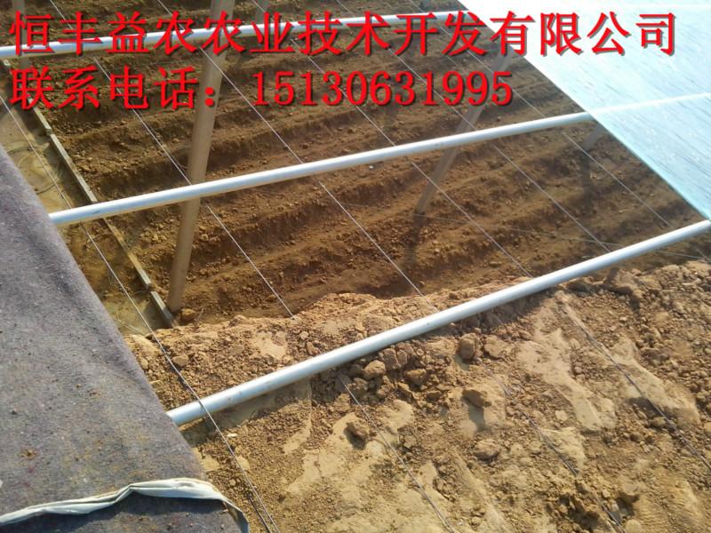 大棚骨架價格圖片