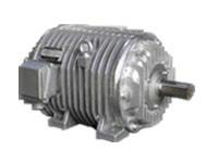 供應(yīng)大連電機(jī)廠輥道電機(jī)大連電機(jī)集團(tuán)三相異步圖片
