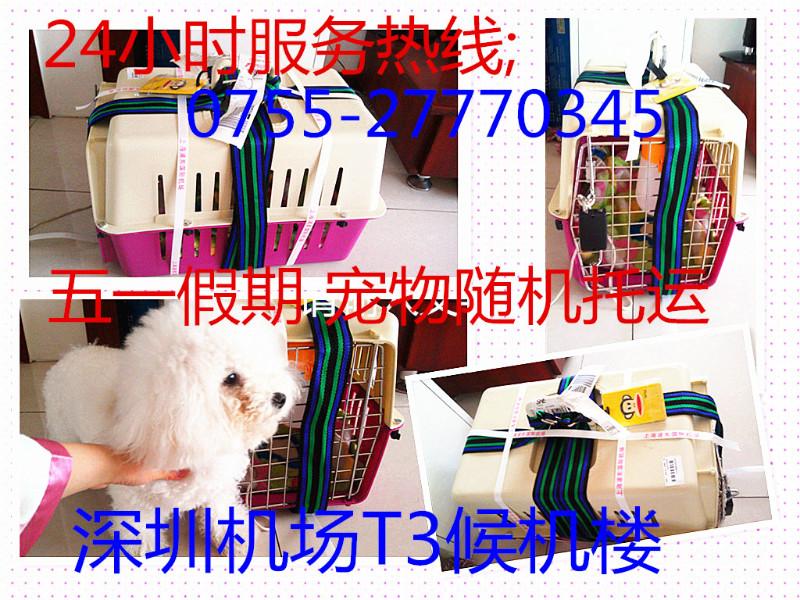 供應(yīng)寵物空運(yùn)到北京當(dāng)天到達(dá)/寵物隨機(jī)辦理