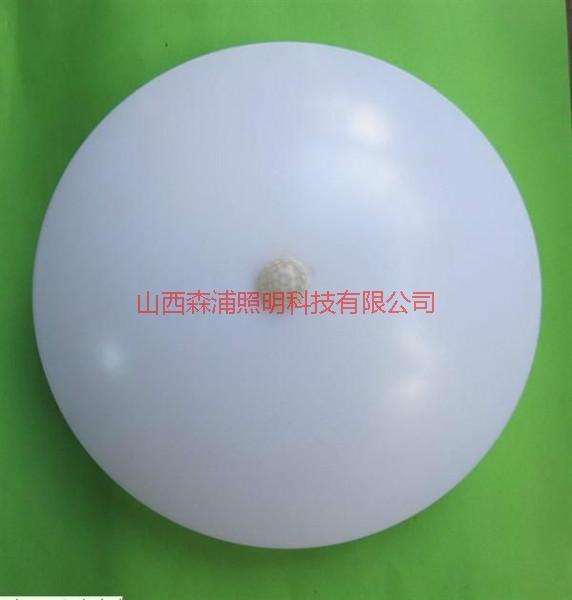 供應(yīng)山西LED紅外感應(yīng)吸頂燈批發(fā)