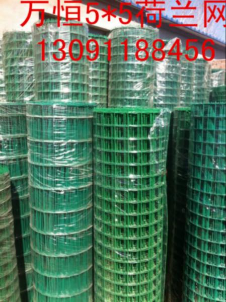 供應萬恒浸塑荷蘭網/1.8米高養(yǎng)雞荷蘭網價錢/東營荷蘭網廠家