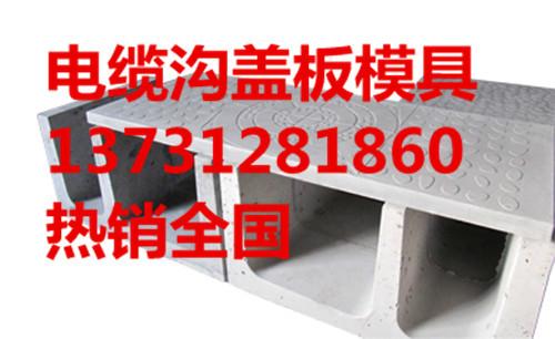 溝蓋板模具圖片/溝蓋板模具樣板圖 (2)